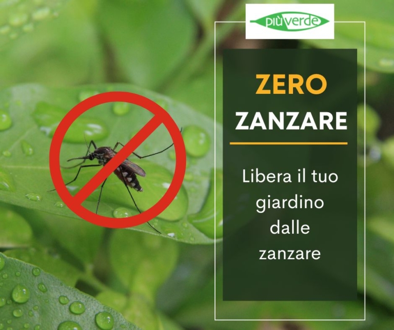 Disinfestazione zanzare